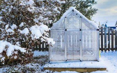 Quoi de prévu cet hiver ?